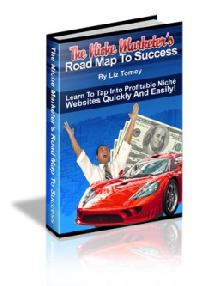 The Niche Marketers Road Map To Success